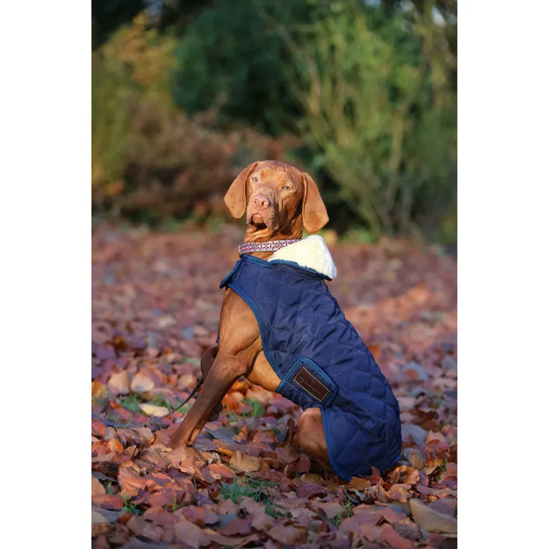 Kentucky Dog Coat- Navy