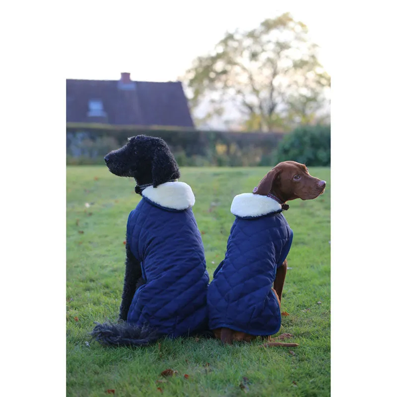 Kentucky Dog Coat- Navy