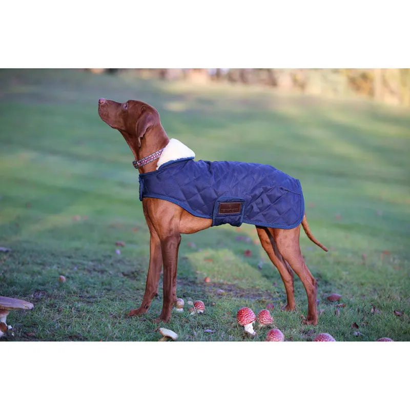 Kentucky Dog Coat- Navy