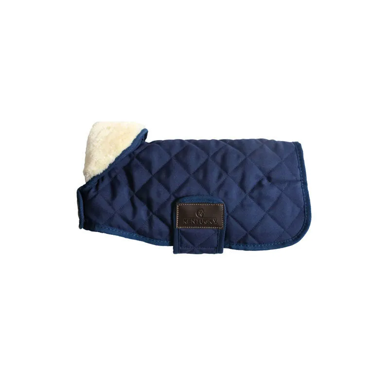 Kentucky Dog Coat- Navy