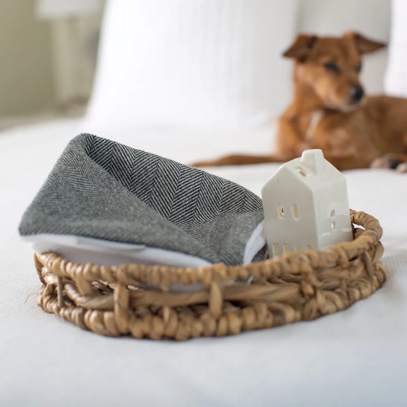 Puppy Scent Blanket in Herringbone Tweed by Lords & Labradors