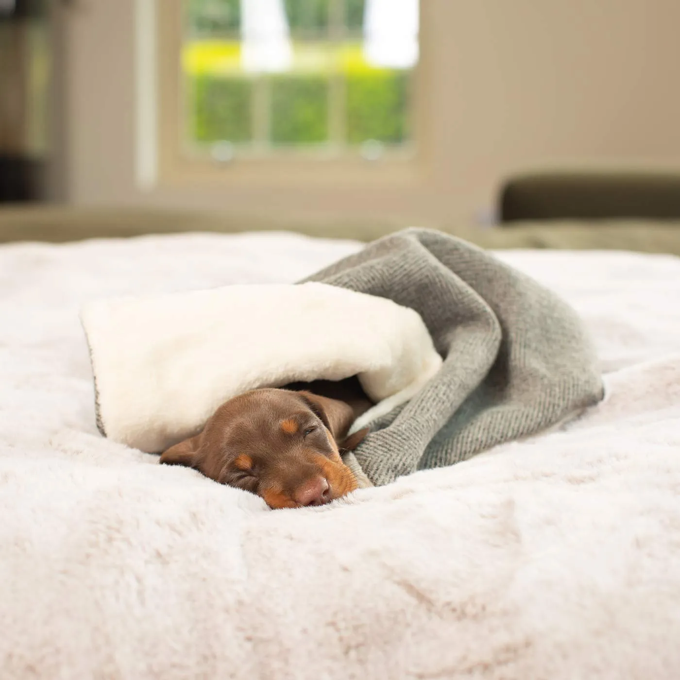 Puppy Scent Blanket in Herringbone Tweed by Lords & Labradors