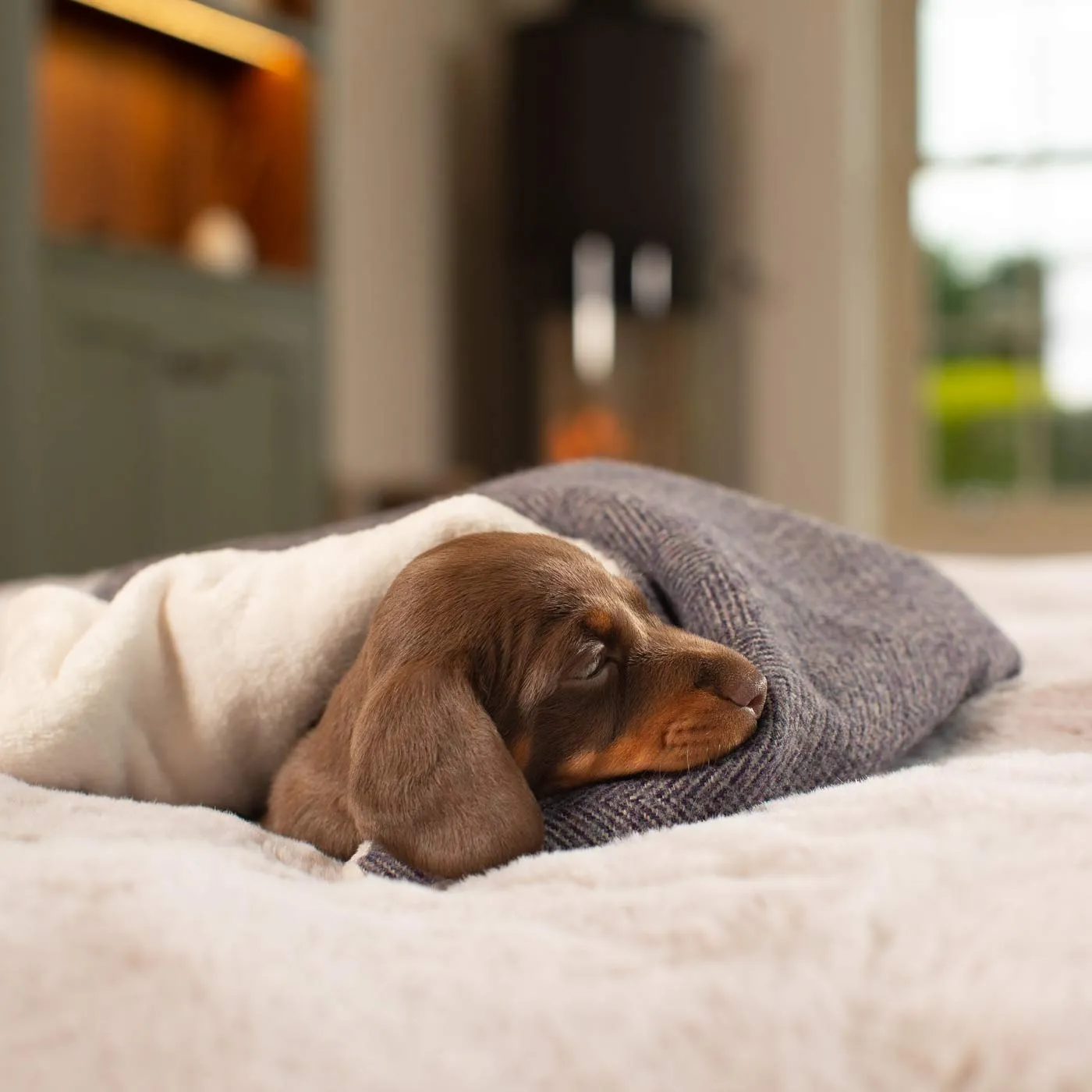 Puppy Scent Blanket in Herringbone Tweed by Lords & Labradors