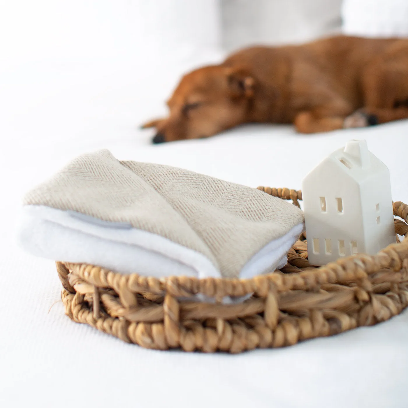 Puppy Scent Blanket in Herringbone Tweed by Lords & Labradors