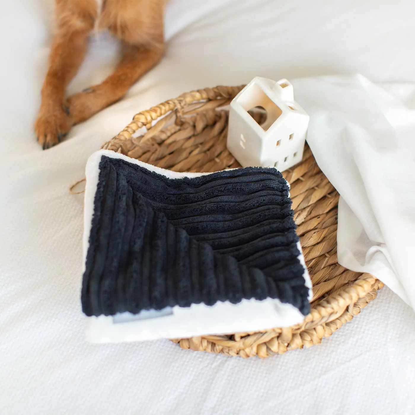 Puppy Scent Blanket in Navy Essentials Plush by Lords & Labradors