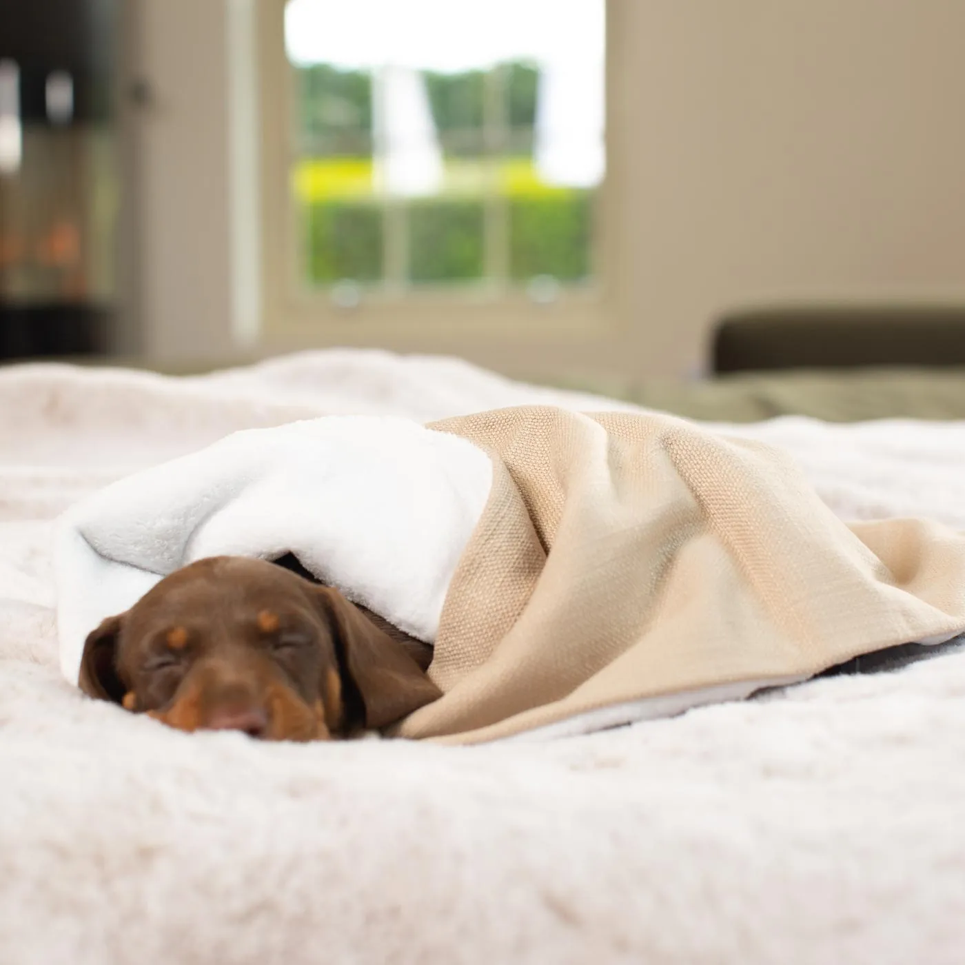 Puppy Scent Blanket in Savanna Oatmeal by Lords & Labradors