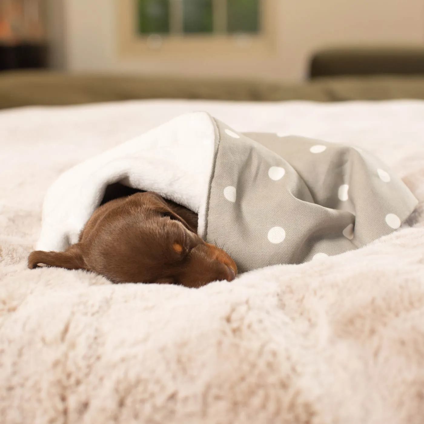 Puppy Scent Blanket in Spots & Stripes by Lords & Labradors