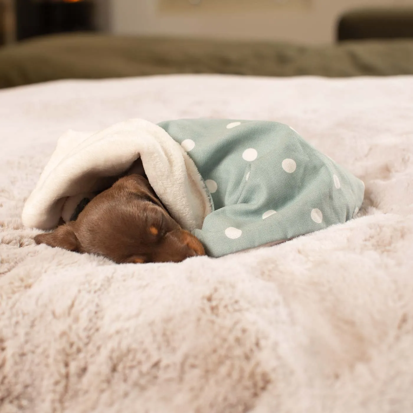 Puppy Scent Blanket in Spots & Stripes by Lords & Labradors