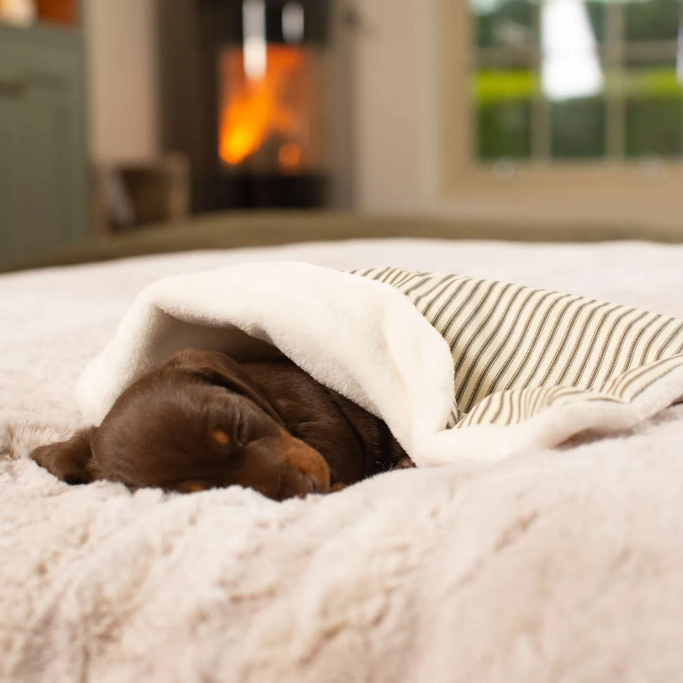 Puppy Scent Blanket in Spots & Stripes by Lords & Labradors